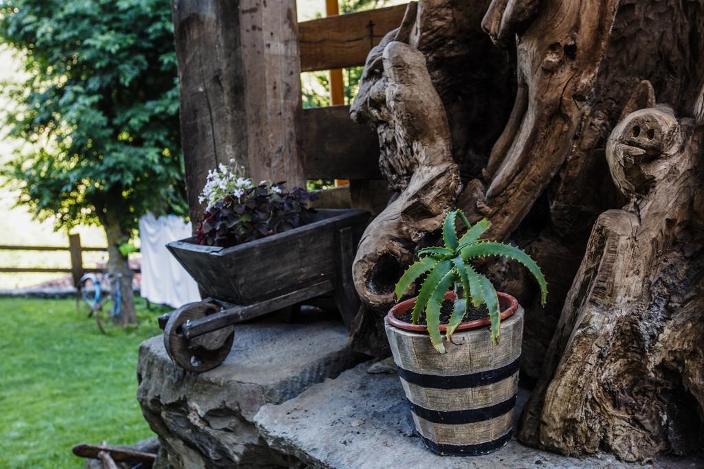 La Posada De Cucayo Dobres Dış mekan fotoğraf
