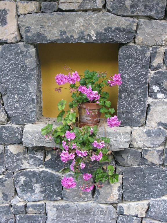 La Posada De Cucayo Dobres Dış mekan fotoğraf
