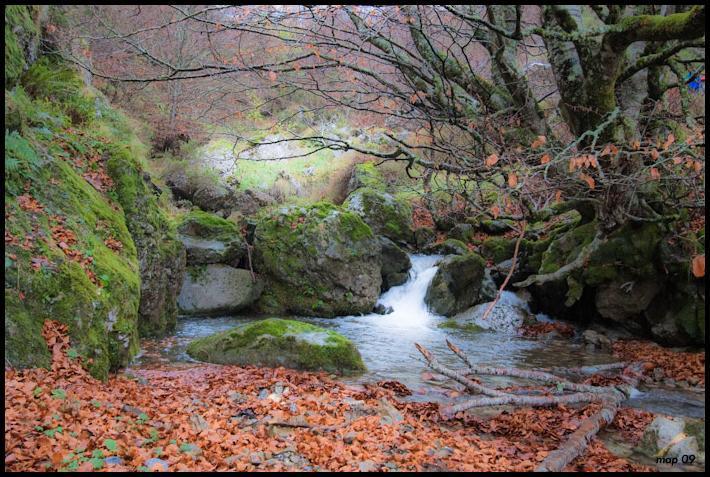 La Posada De Cucayo Dobres Dış mekan fotoğraf