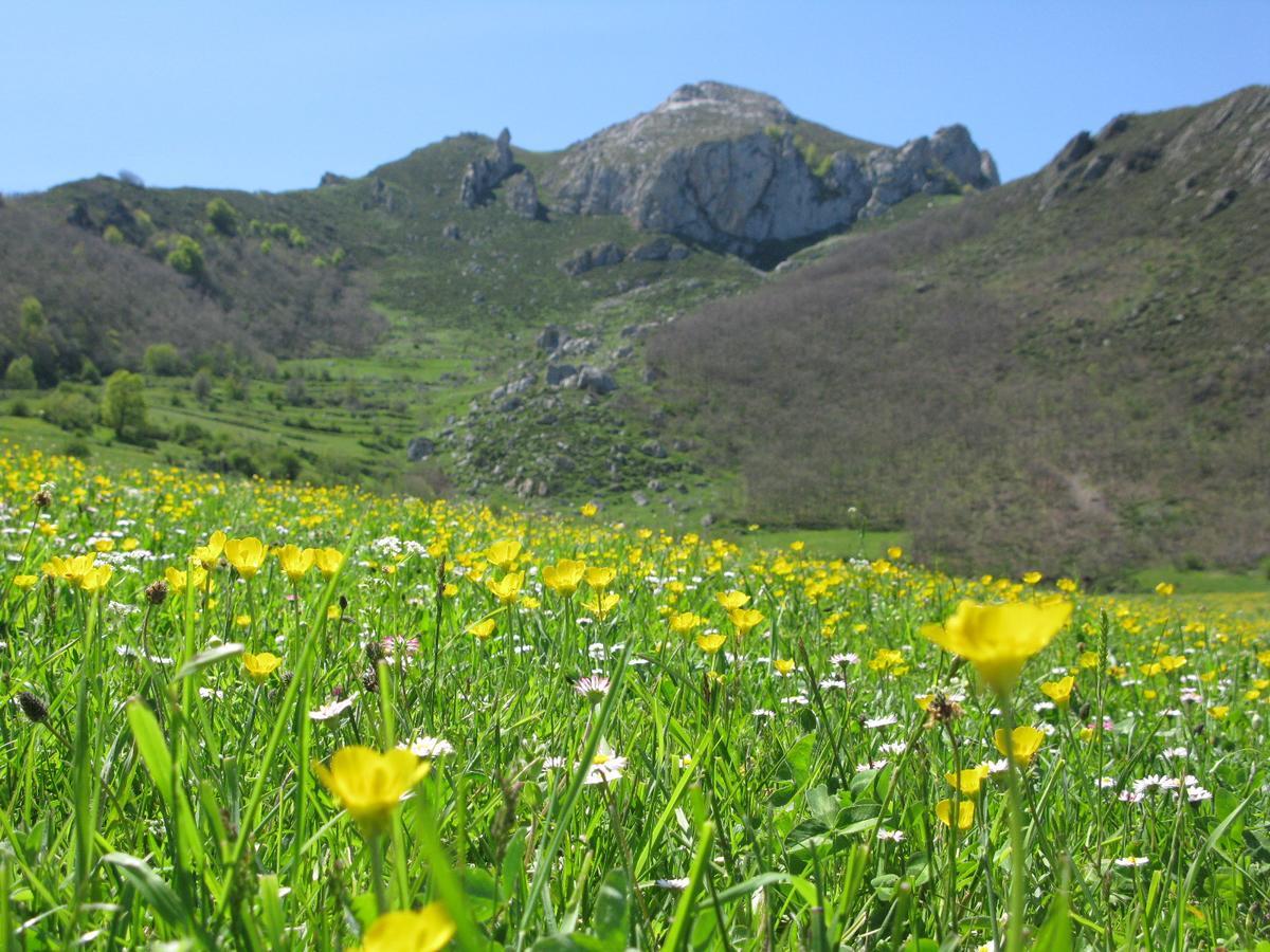 La Posada De Cucayo Dobres Dış mekan fotoğraf